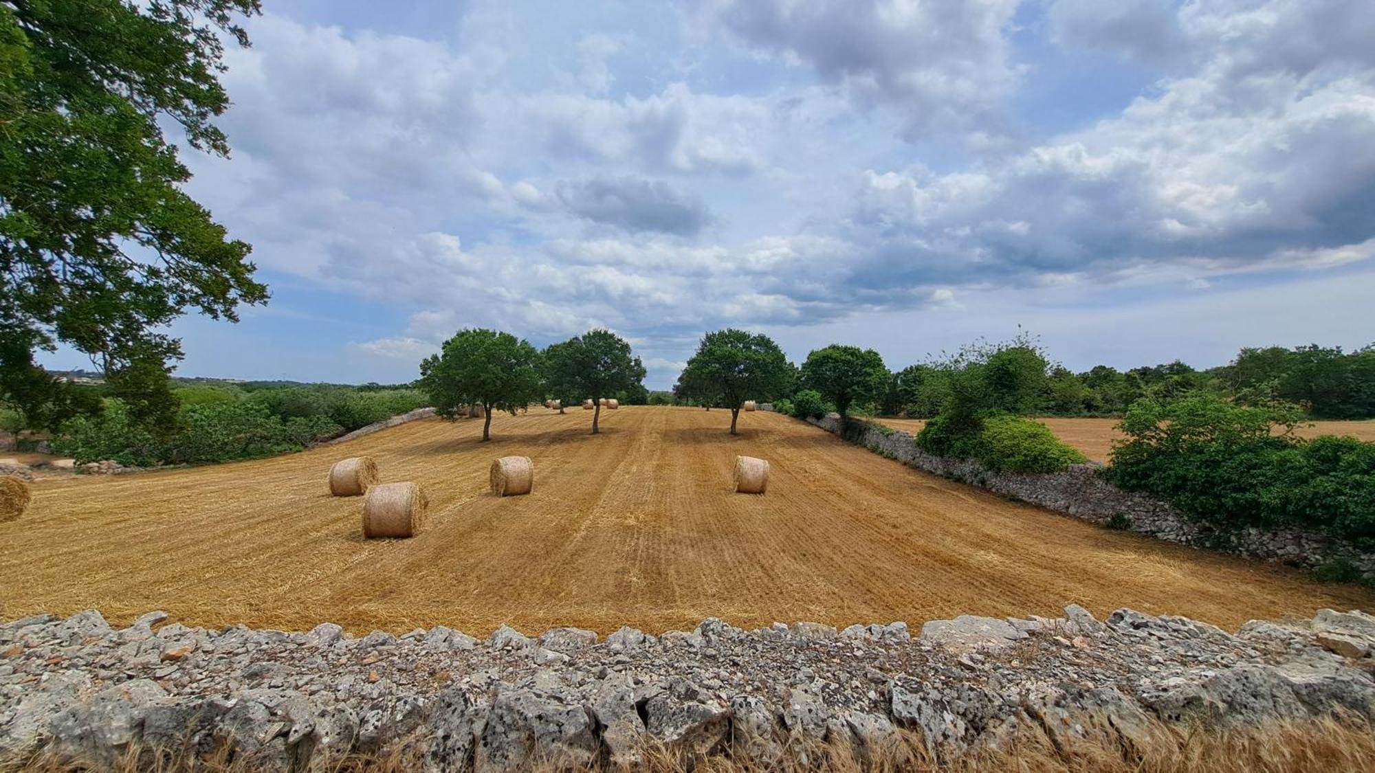 Casolare Di Puglia Villa Noci Dış mekan fotoğraf