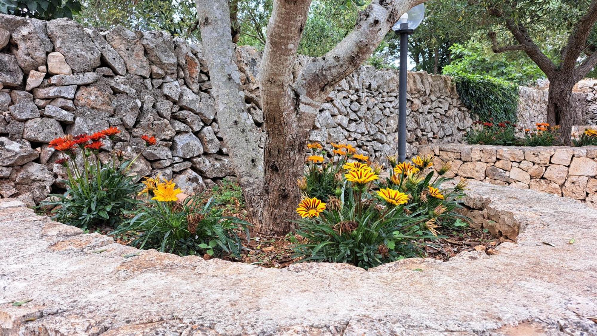 Casolare Di Puglia Villa Noci Dış mekan fotoğraf